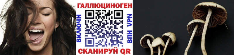наркошоп  дарк нет формула  Галлюциногенные грибы прущие грибы  Карачев 